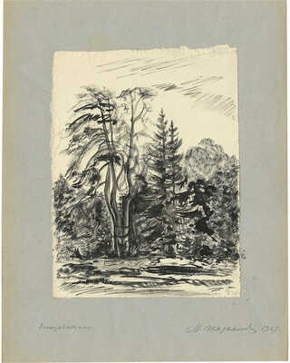 Тарханов Михаил Михайлович. Елизаветино